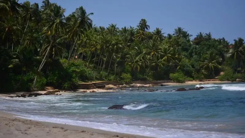 ASHFORD BEACH