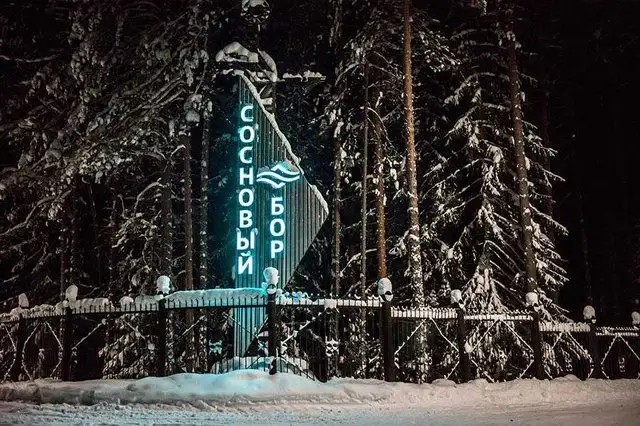 СОСНОВЫЙ БОР