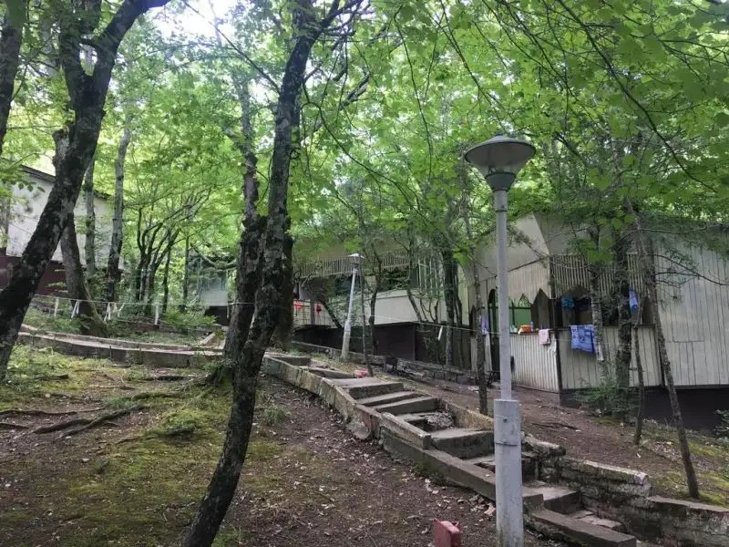 ЗОЛОТОЙ КОЛОС БАЗА ОТДЫХА