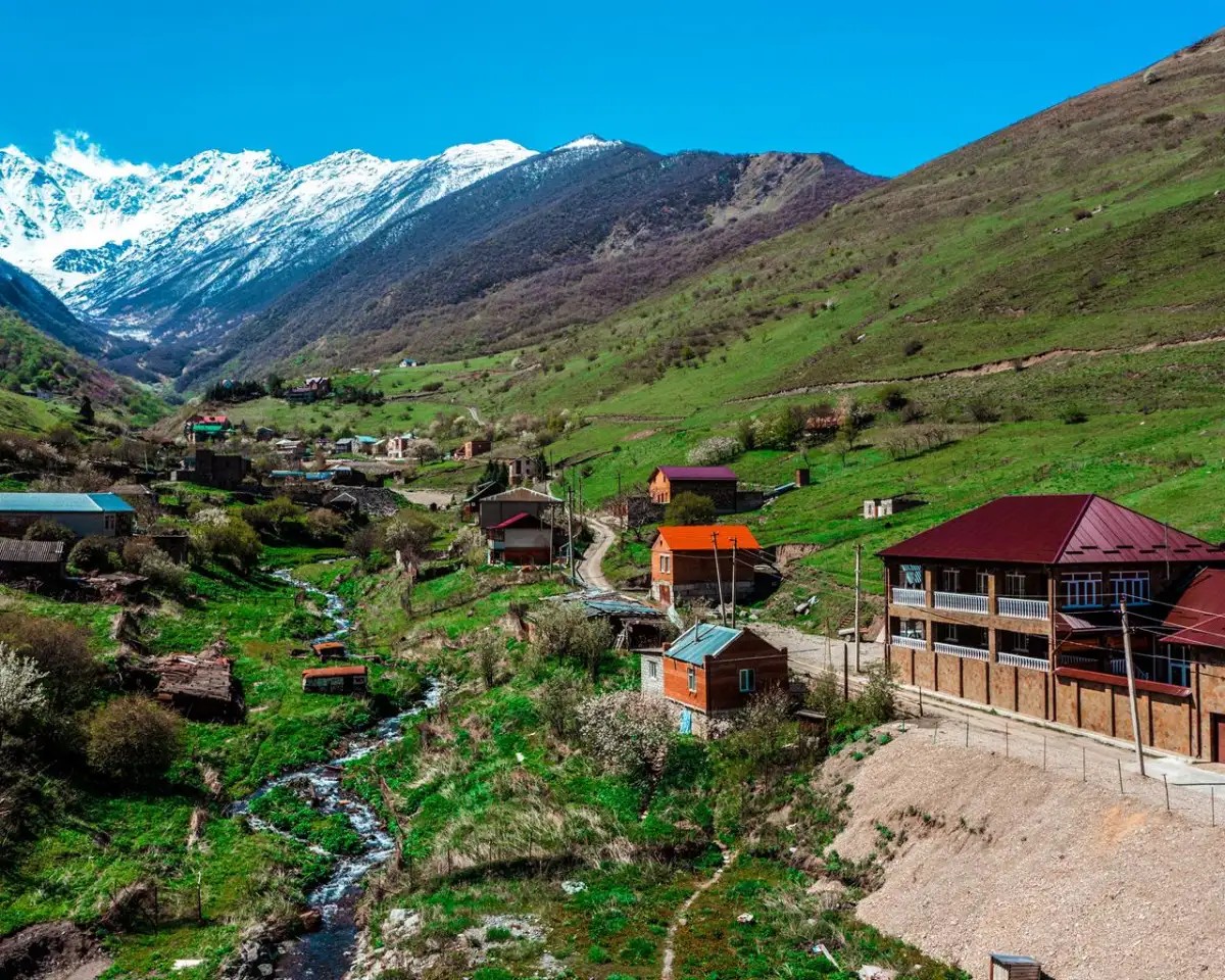 MOUNTAIN SANIBA (ГОРНАЯ САНИБА)