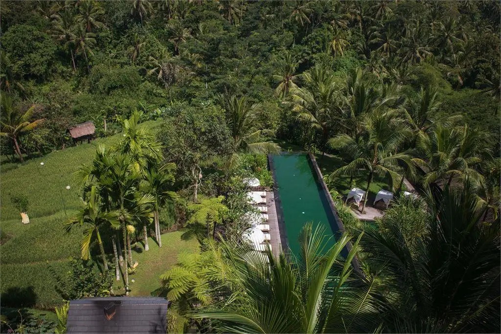 KOMANEKA BISMA UBUD