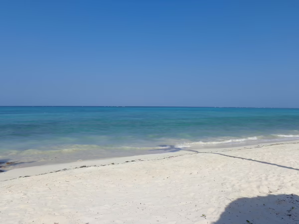 REEF & BEACH RESORT
