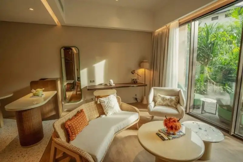 imagi suite