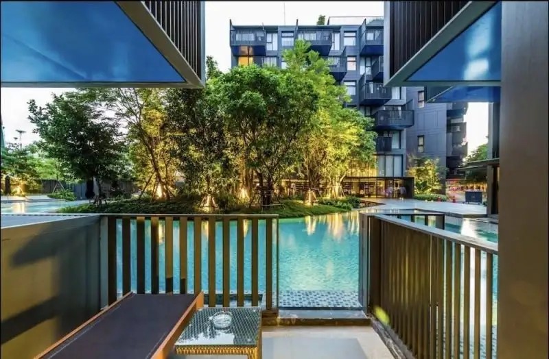 THE DECK PATONG BY DREAM