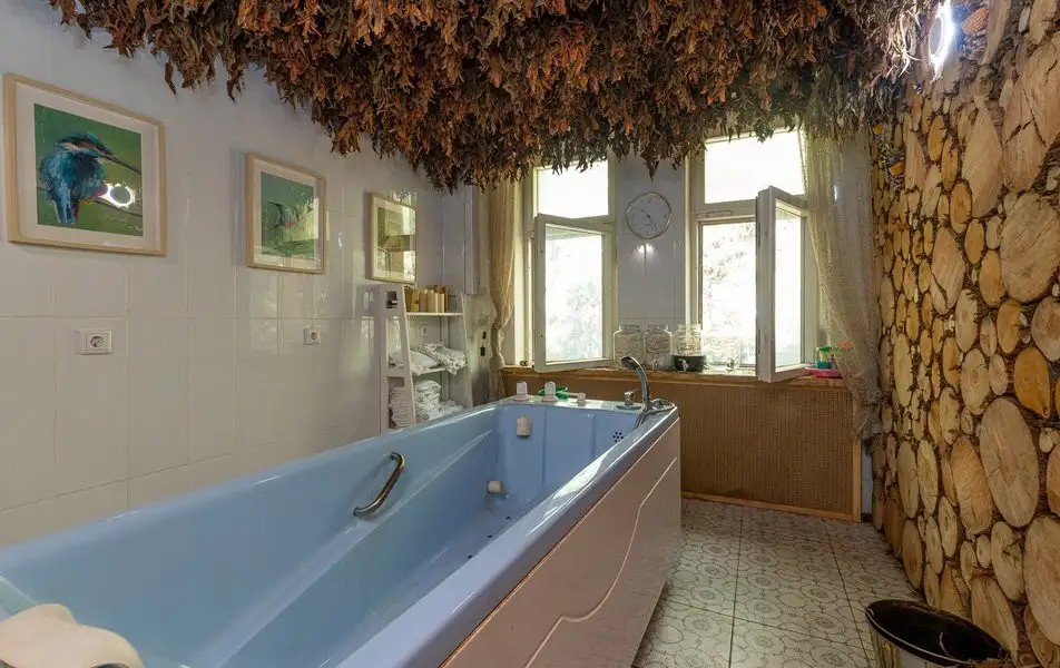 СОСНОВАЯ РОЩА