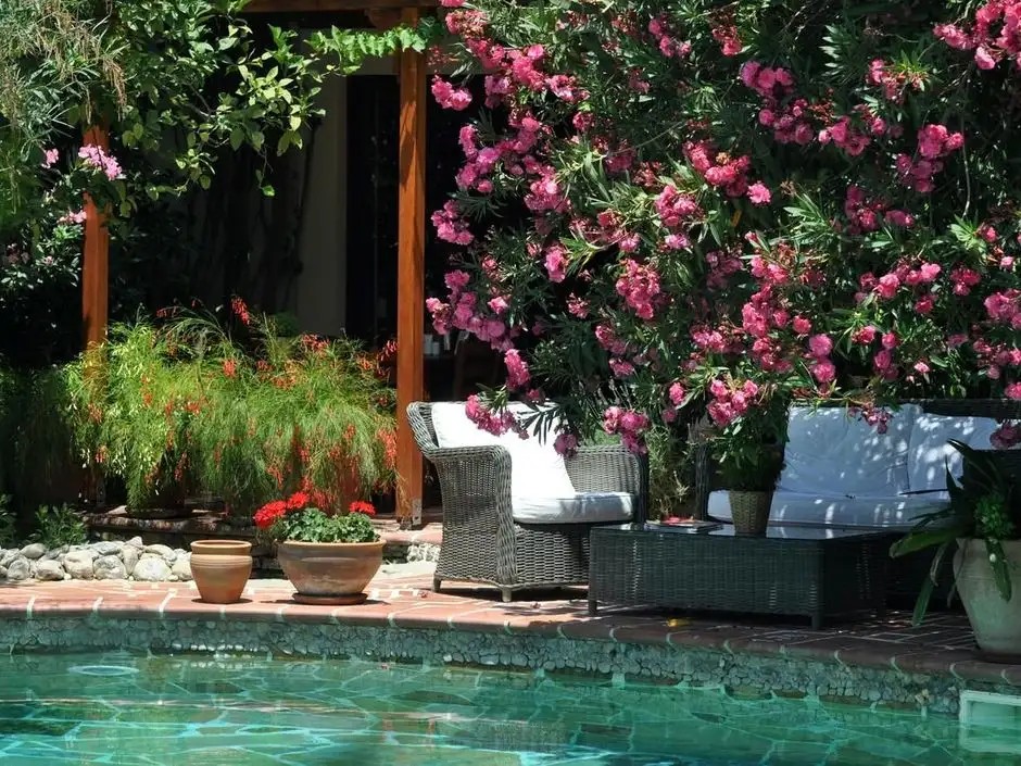 EL VINO HOTEL & SUITES