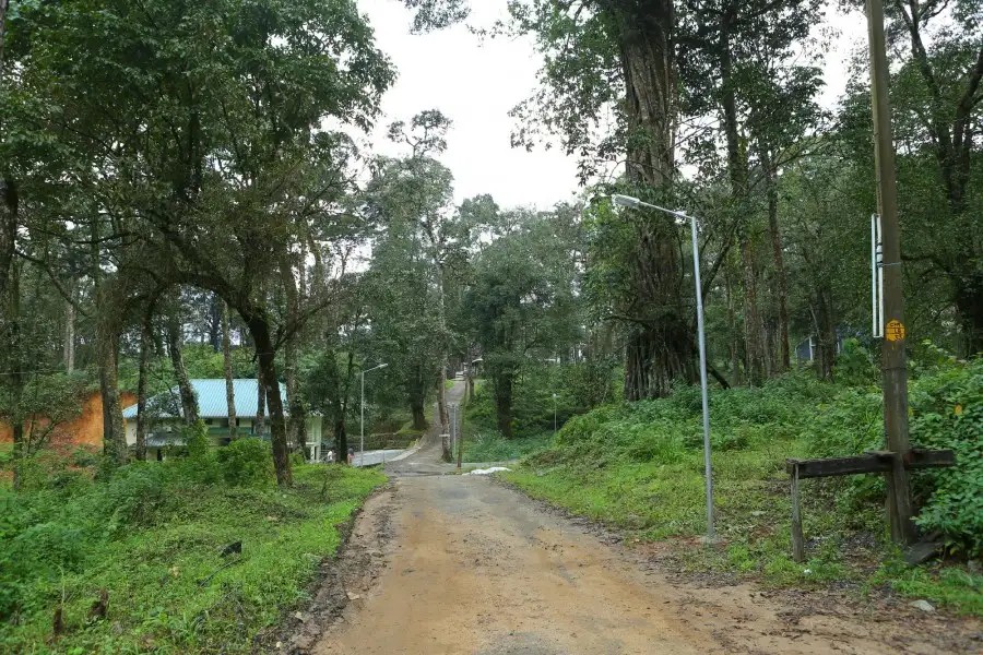 DEEP WOODS RESORT