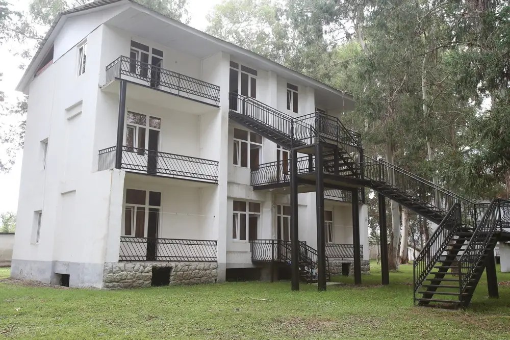 ЭВКАЛИПТОВАЯ РОЩА