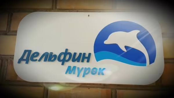 ДЕЛЬФИН МУРОК