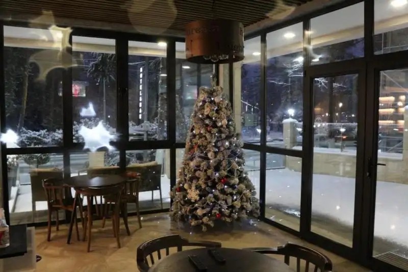 RUSTAVELI BORJOMI HOTEL
