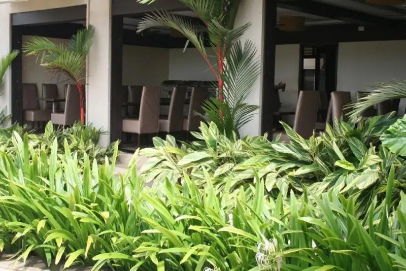 RESORT DE CROSSROADS