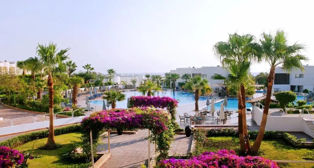 SHARM REEF