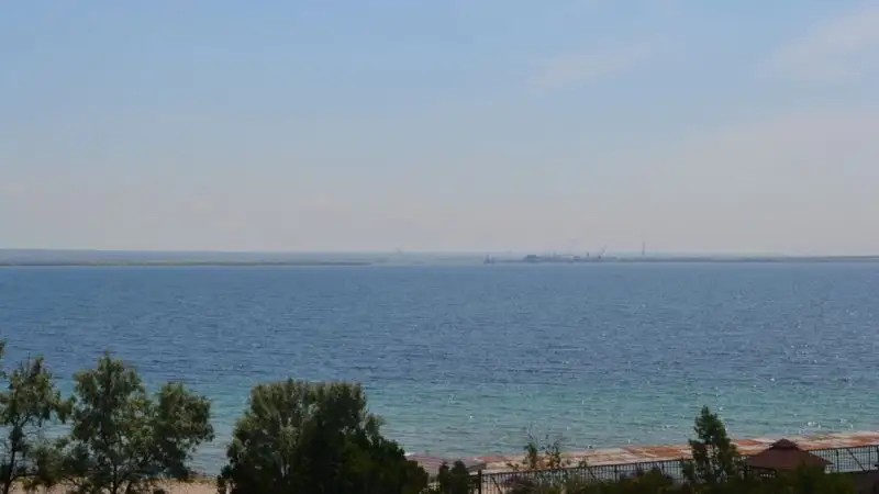 ФЛАМИНГО МЕЖВОДНОЕ