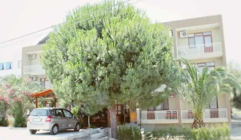 GRAND YAYLA