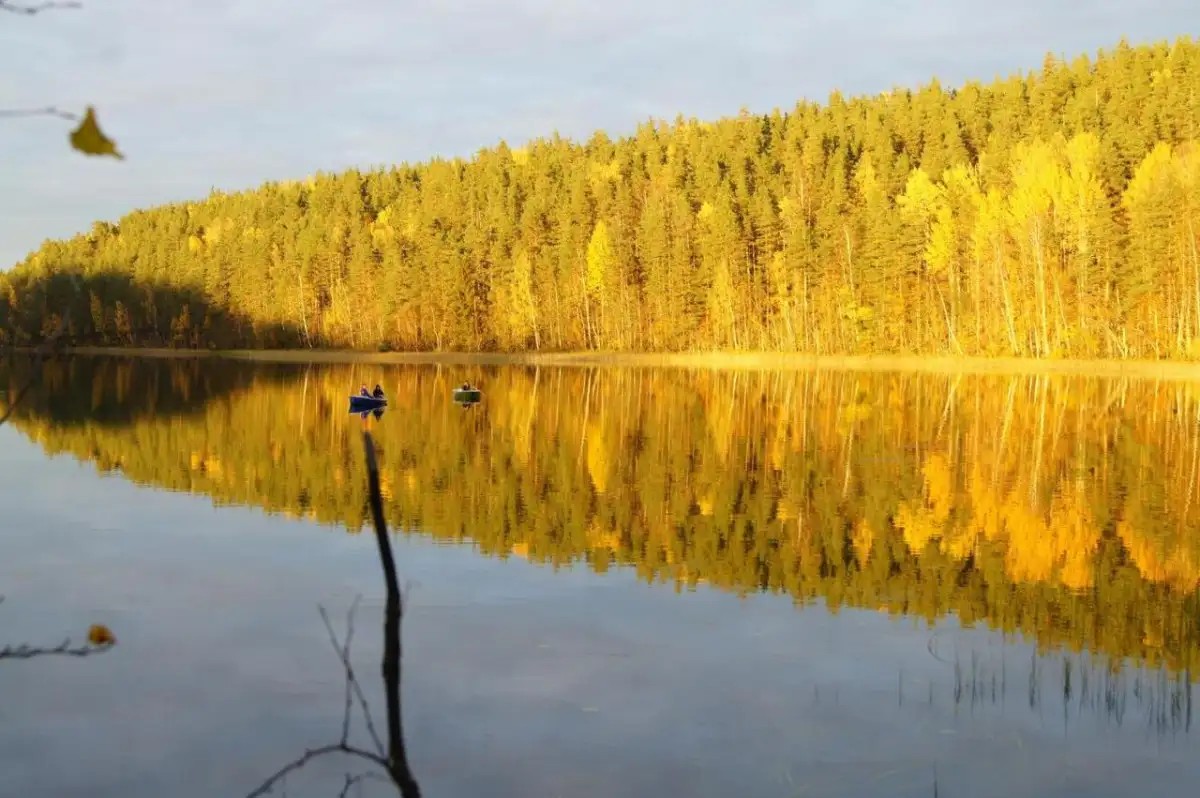 БЕРЛОГА
