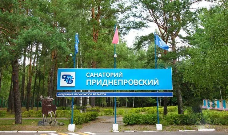 ПРИДНЕПРОВСКИЙ