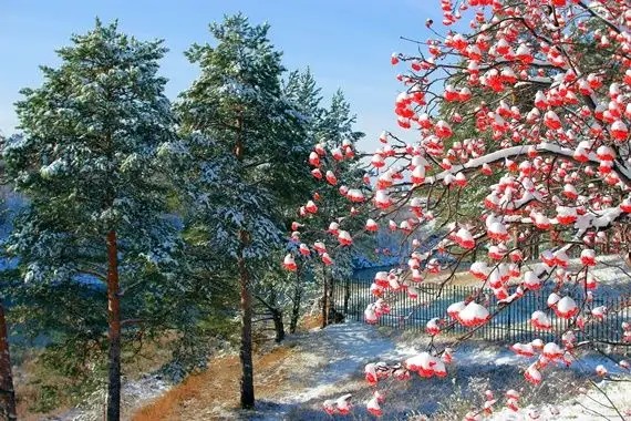 КАМЕННЫЙ ПОЯС