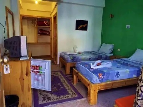 STAR OF DAHAB