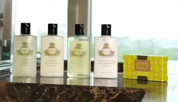 INTERCONTINENTAL FRANKFURT