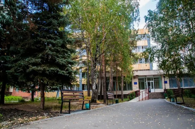 ЗЕЛЕНЫЙ БОР