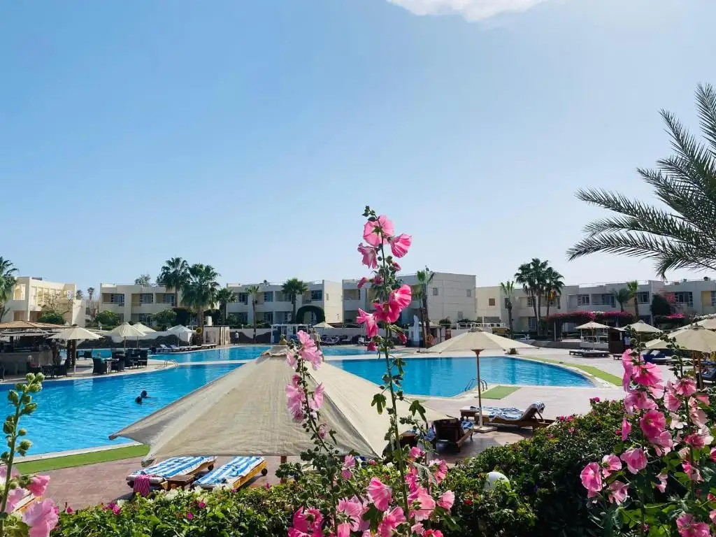 SHARM REEF
