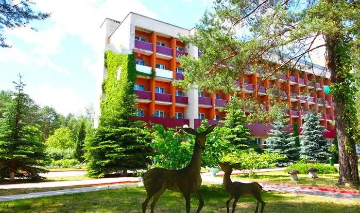 ПРИДНЕПРОВСКИЙ