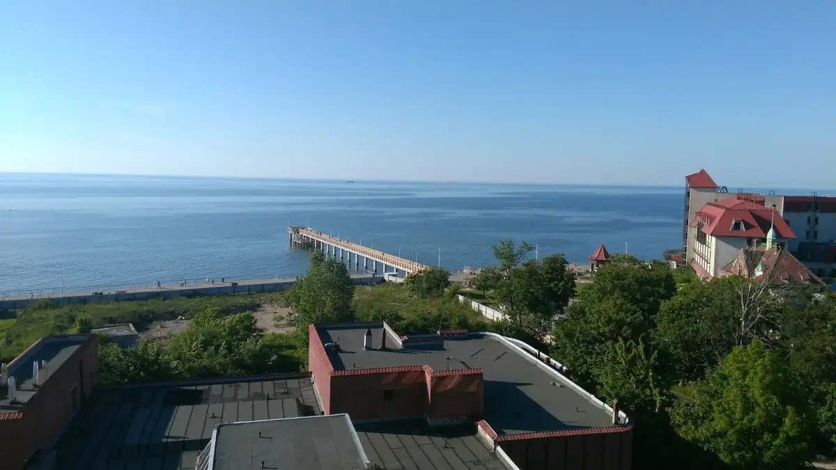 ЧАЙКА ЗЕЛЕНОГРАДСК