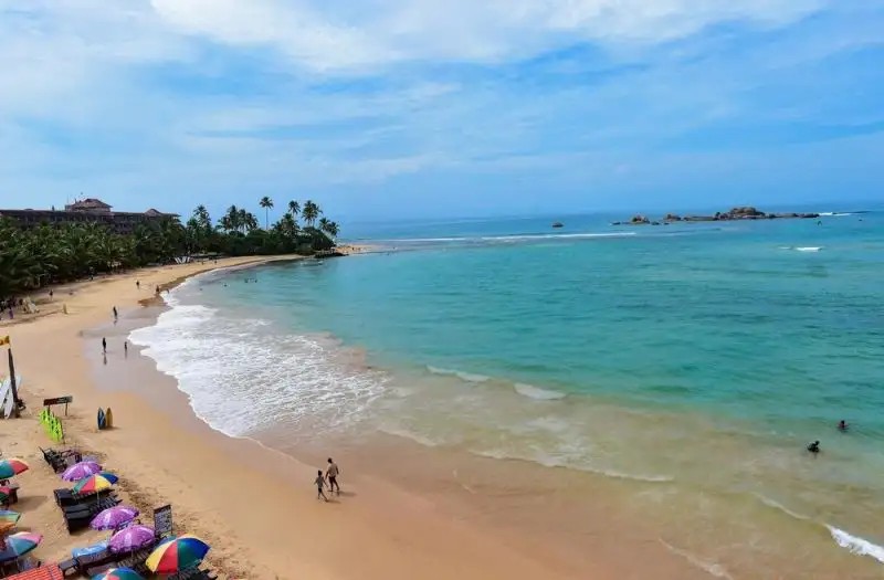 DOLPHIN & BEACH RESTAURANT