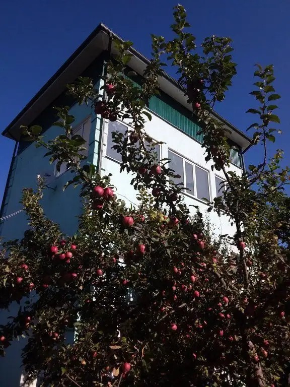 ТАМАРА