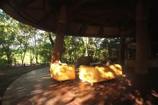 THE MENJANGAN AT WEST BALI NATIONAL PARK