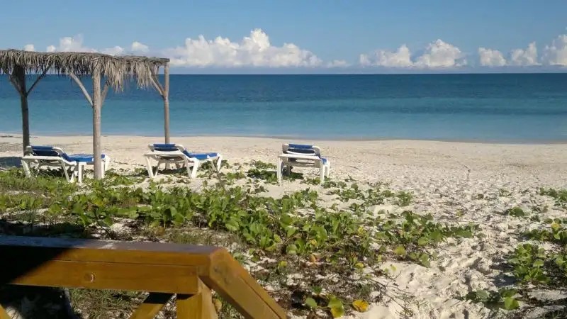 CAYO LEVISA
