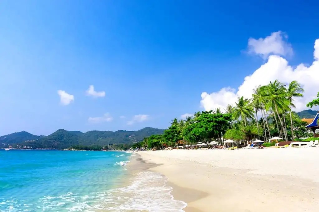 LOTUS FRIENDLY (EX. LOTUS KOH SAMUI - CHAWENG BEACH)