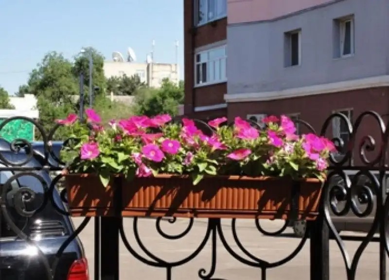 GLORIA (ГЛОРИЯ)