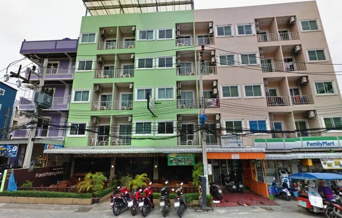 NEW FOREST PATONG