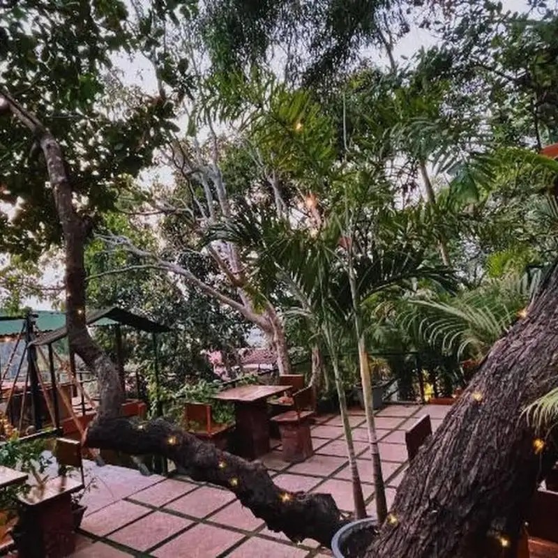 AMAZONIKA RESORT