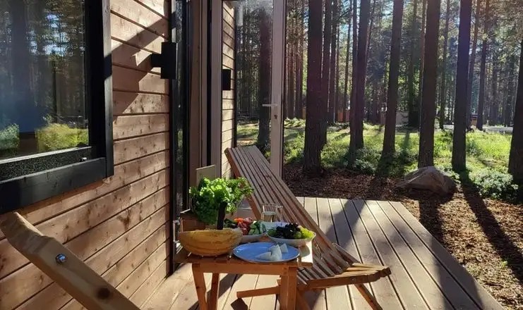 NEW CAMP (НЬЮ КЭМП)