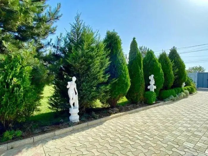 ЭЛЕНИ