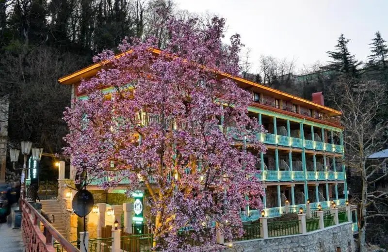 MAGNOLIA KUTAISI