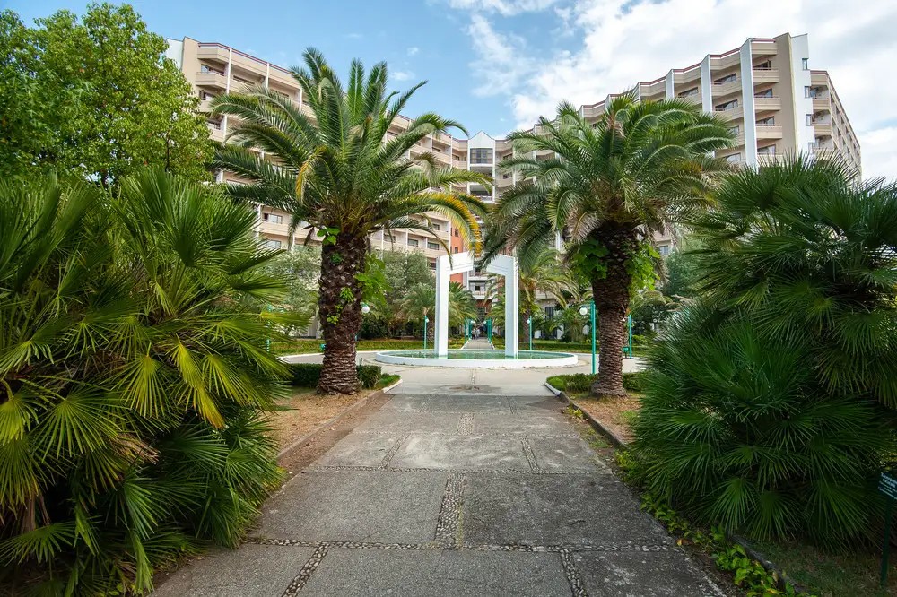 САМШИТОВАЯ РОЩА