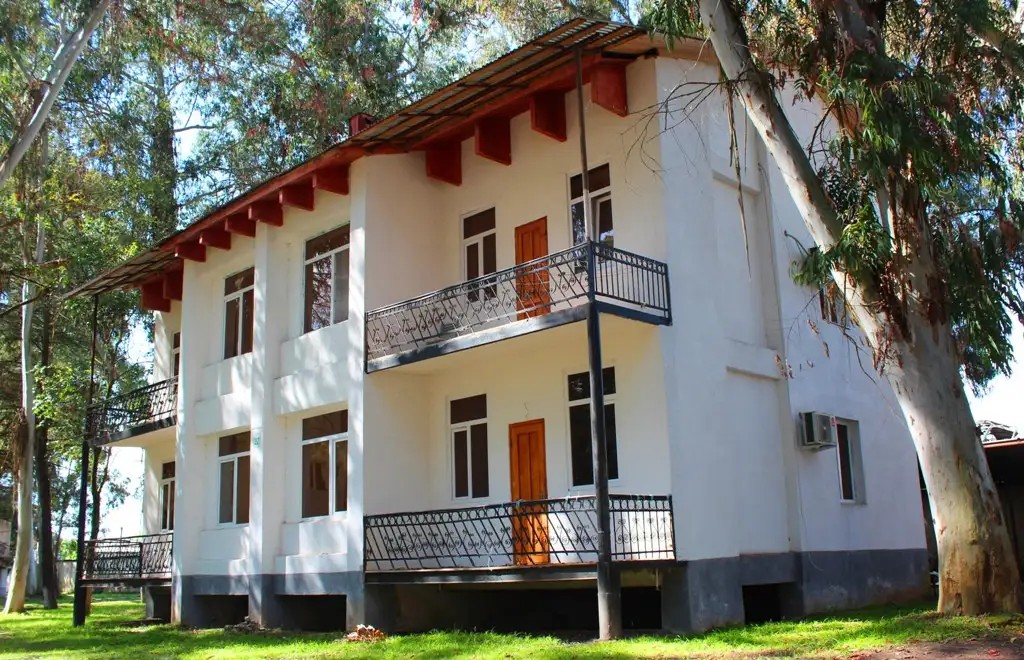 ЭВКАЛИПТОВАЯ РОЩА