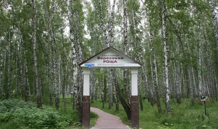 БЕРЕЗОВАЯ РОЩА