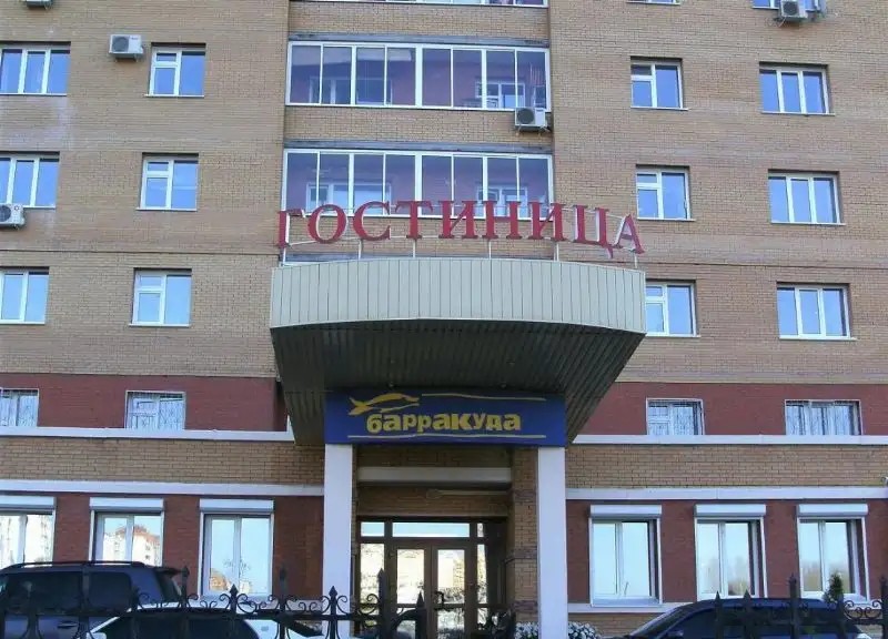 БАРРАКУДА НА ТЮЛЕНИНА