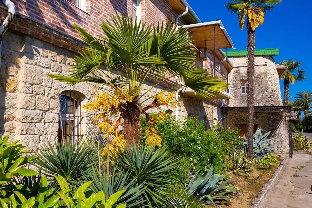 АБХАЗИЯ ИСТОРИЧЕСКИЙ САНАТОРИЙ