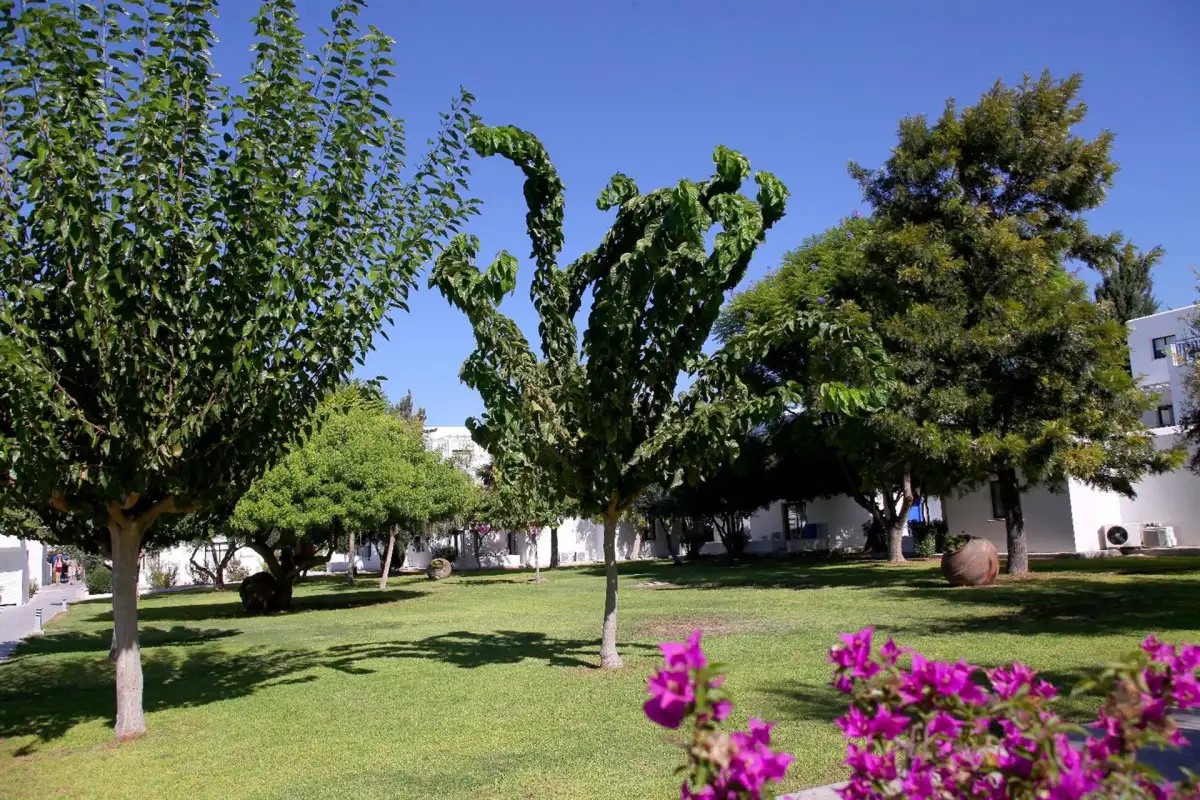 ALIATHON AEGEAN (EX. ALIATHON HOLIDAY VILLAGE)