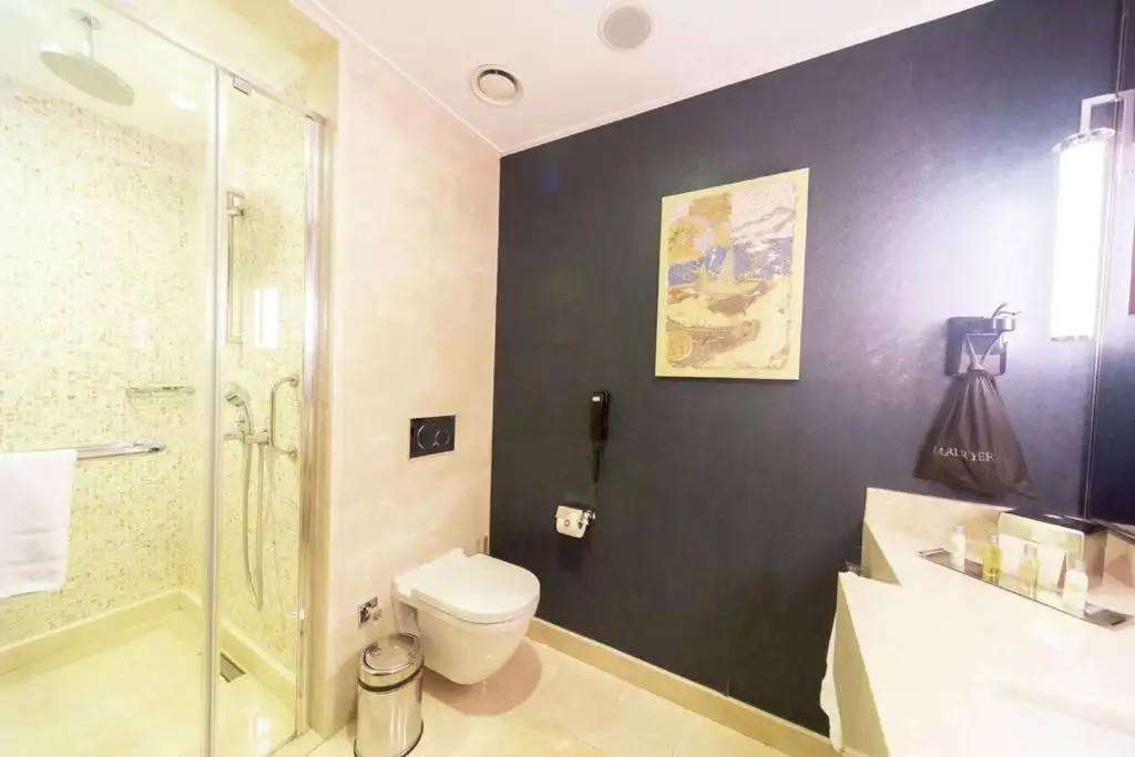 DOUBLETREE BY HILTON ISTANBUL TOPKAPI