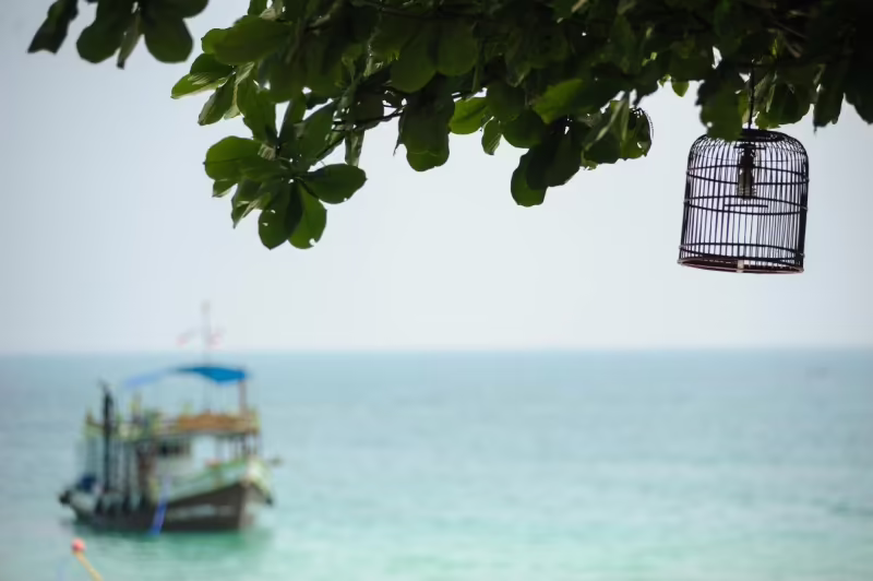 SAMED GRAND VIEW RESORT