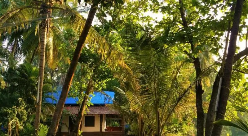 3 COTTAGES