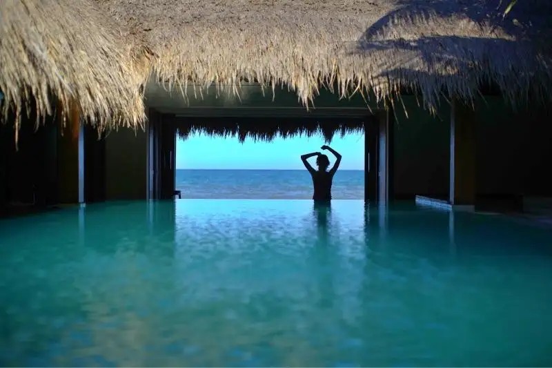 GREEN ORGANIC VILLAS