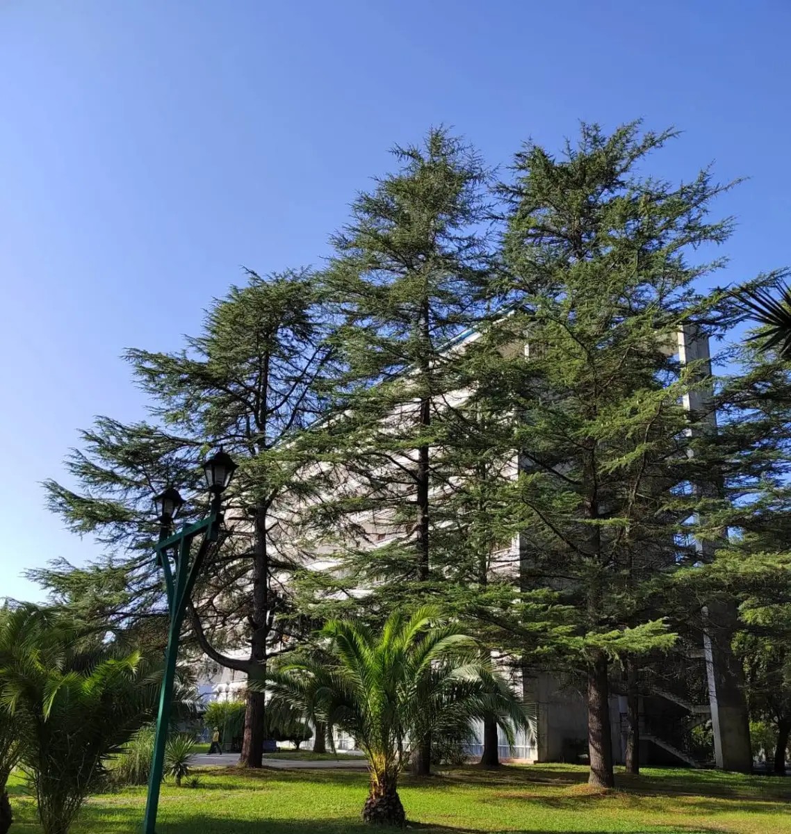 ПСОУ ДОМ ОТДЫХА