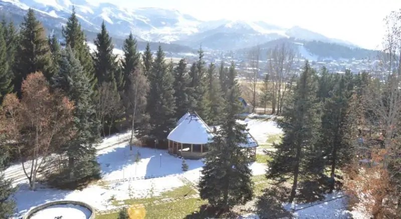 VERE PALACE BAKURIANI